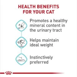 Royal Canin Feline Care Nutrition Urinary Care Thin Slices In Gravy Wet Cat Food, 3-oz Can, Case Of 12 -PurePet Bites Shop 950350 PT3. AC SS1800 V1694791367