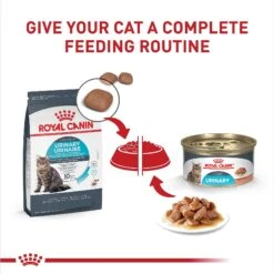 Royal Canin Feline Care Nutrition Urinary Care Thin Slices In Gravy Wet Cat Food, 3-oz Can, Case Of 12 -PurePet Bites Shop 950350 PT5. AC SS1800 V1694791252