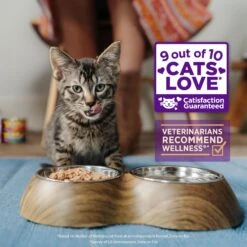 Wellness CORE Grain-Free Hearty Cuts In Gravy Indoor Shredded Chicken & Turkey Recipe Canned Cat Food -PurePet Bites Shop 95706 PT2. AC SS1800 V1695827003