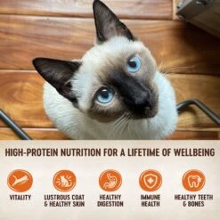 Wellness CORE Grain-Free Hearty Cuts In Gravy Shredded Chicken & Turkey Recipe Canned Cat Food -PurePet Bites Shop 95710 PT2. AC SS1800 V1666652112