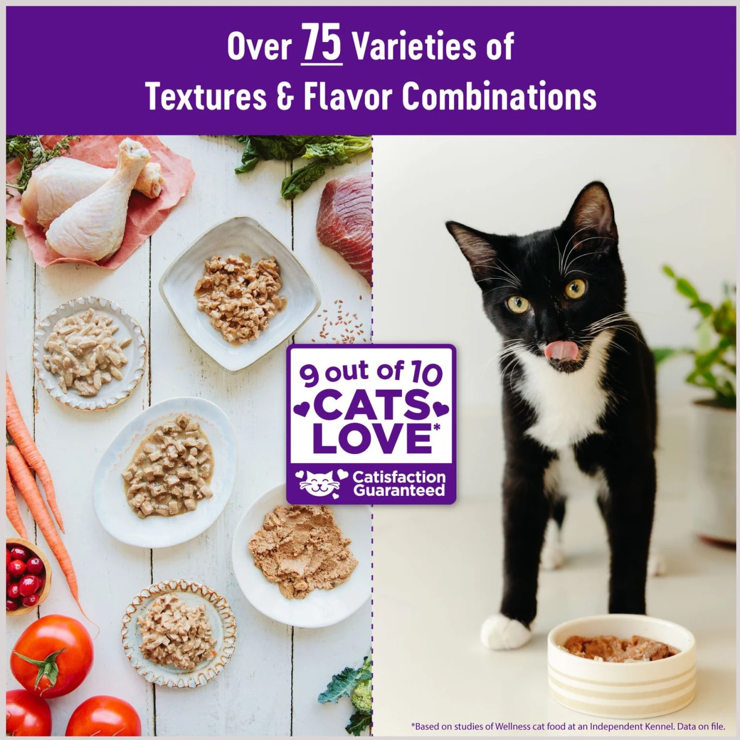 Wellness Healthy Indulgence Gravies With Bits Of Chicken & Turkey Smothered In Gravy Grain-Free Wet Cat Food Pouches 4 Wellness Healthy Indulgence Gravies With Bits Of Chicken & Turkey Smothered In Gravy Grain-Free Wet Cat Food Pouches - Image 2