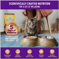 Wellness Healthy Indulgence Morsels With Chicken & Chicken Liver In Savory Sauce Grain-Free Wet Cat Food Pouches -PurePet Bites Shop 95718 PT3. AC SS1800 V1695837643