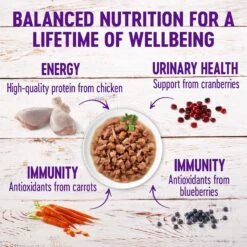 Wellness Healthy Indulgence Morsels With Chicken & Turkey In Savory Sauce Grain-Free Wet Cat Food Pouches -PurePet Bites Shop 95722 PT3. AC SS1800 V1621990357