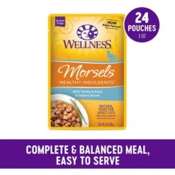 Wellness Healthy Indulgence Morsels With Turkey & Duck In Savory Sauce Grain-Free Wet Cat Food Pouches -PurePet Bites Shop 95729 PT1. AC SS1800 V1621981659