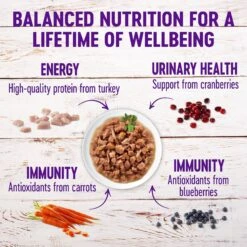 Wellness Healthy Indulgence Morsels With Turkey & Duck In Savory Sauce Grain-Free Wet Cat Food Pouches -PurePet Bites Shop 95729 PT3. AC SS1800 V1621989196