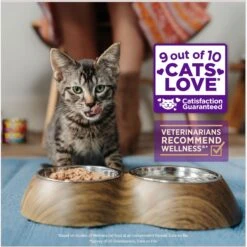 Wellness Healthy Indulgence Shreds With Skipjack Tuna & Shrimp In Light Sauce Grain-Free Wet Cat Food Pouches -PurePet Bites Shop 95733 PT2. AC SS1800 V1695837175