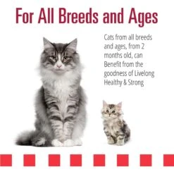 Livelong Healthy & Strong Yummy Meats Wet Cat Food, 5.5-oz Can, 24 Count -PurePet Bites Shop 964158 PT3. AC SS1800 V1697117630