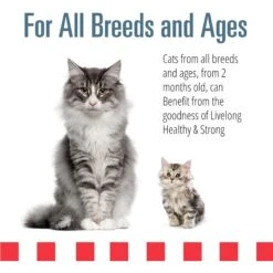 Livelong Healthy & Strong Yummy Seafood Wet Cat Food, 5.5-oz Can, 24 Count -PurePet Bites Shop 964174 PT3. AC SS1800 V1697117690