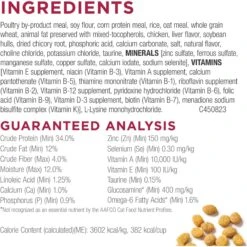 Cat Chow Essentials 7+ Immune + Joint Health Recipe Senior Dry Cat Food 14 Cat Chow Essentials 7+ Immune + Joint Health Recipe Senior Dry Cat Food -PurePet Bites Shop 966590 PT4. AC SS1800 V1696349397