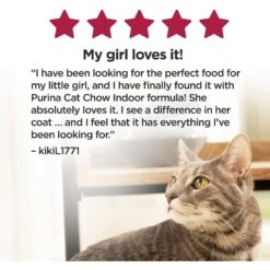 Cat Chow Essentials 7+ Immune + Joint Health Recipe Senior Dry Cat Food 15 Cat Chow Essentials 7+ Immune + Joint Health Recipe Senior Dry Cat Food -PurePet Bites Shop 966590 PT5. AC SS1800 V1696349395