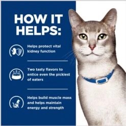 Hill's Prescription Diet K/d Kidney Care Stew Variety Pack Wet Cat Food, 2.9-oz Can, Case Of 24 -PurePet Bites Shop 967646 PT5. AC SS1800 V1696615400