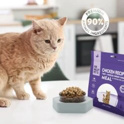 Fur Valley Purrfect Poultry Recipe Freeze-Dried Cat Food, 14-oz Bag -PurePet Bites Shop 970926 PT5. AC SS1800 V1698864698