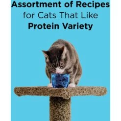 BIXBI LIBERTY Chicken, Salmon & Tuna Recipe Grain-Free Wet Cat Food, 2.75-oz Can, Case Of 12 -PurePet Bites Shop 972526 PT3. AC SS1800 V1698683543