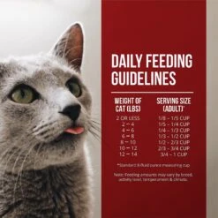 Fussie Cat Market Fresh Chicken & Turkey Recipe Grain-Free Dry Cat Food -PurePet Bites Shop 98153 PT5. AC SS1800 V1642566997