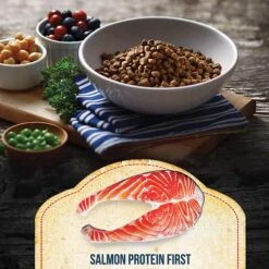 Fussie Cat Market Fresh Salmon Recipe Grain-Free Dry Cat Food -PurePet Bites Shop 98157 PT1. AC SS1800 V1642569694
