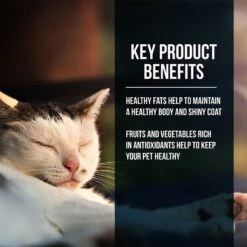 Fussie Cat Market Fresh Salmon Recipe Grain-Free Dry Cat Food -PurePet Bites Shop 98157 PT2. AC SS1800 V1642553197