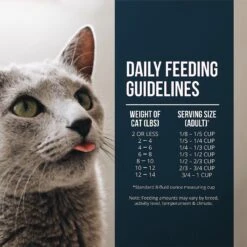 Fussie Cat Market Fresh Salmon Recipe Grain-Free Dry Cat Food -PurePet Bites Shop 98157 PT5. AC SS1800 V1642568205