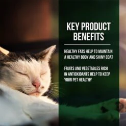 Fussie Cat Market Fresh Salmon & Chicken Recipe Grain-Free Dry Cat Food -PurePet Bites Shop 98161 PT2. AC SS1800 V1642559805