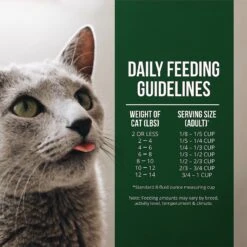 Fussie Cat Market Fresh Salmon & Chicken Recipe Grain-Free Dry Cat Food -PurePet Bites Shop 98161 PT5. AC SS1800 V1642575082