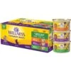 Wellness Complete Health Chicken & Turkey Pate Favorites Variety Pack Grain-Free Wet Cat Food, 3-oz Can, Case Of 12 -PurePet Bites Shop 984630 MAIN. AC SS1800 V1699642703