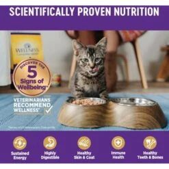 Wellness Complete Health Seafood Pate Favorites Variety Pack Grain-Free Wet Cat Food, 3-oz Can, Case Of 12 -PurePet Bites Shop 984646 PT4. AC SS1800 V1699642707