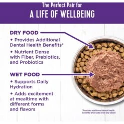 Wellness Complete Health Seafood Pate Favorites Variety Pack Grain-Free Wet Cat Food, 3-oz Can, Case Of 12 -PurePet Bites Shop 984646 PT5. AC SS1800 V1699642706