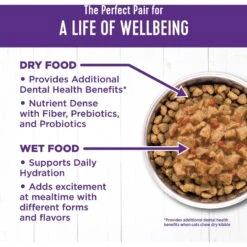 Wellness Complete Health Chicken & Turkey Lovers Gravies & Minced Variety Pack Grain-Free Wet Cat Food, 3-oz Can, Case Of 12 -PurePet Bites Shop 984662 PT5. AC SS1800 V1699642704