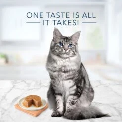 Blue Buffalo Tastefuls Natural Chicken Adult 7+ Dry Cat Food & Blue Buffalo Tastefuls Chicken Entrée Mature Cats Pate Wet Cat Food, 3-oz Can, Case Of 24 -PurePet Bites Shop 986438 PT7. AC SS1800 V1698672262