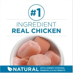 Fancy Feast Senior 7+ Chicken, Beef & Tuna Feasts Variety Pack Canned Cat Food & Purina ONE Indoor Advantage Senior 7+ High Protein Natural Dry Cat Food -PurePet Bites Shop 986446 PT8. AC SS1800 V1698672268