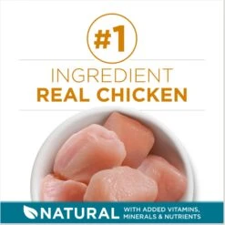 Purina ONE Tender Selects Blend With Real Chicken Dry Cat Food & Purina ONE True Instinct Turkey, Chicken & Tuna Variety Pack Canned Cat Food -PurePet Bites Shop 986462 PT4. AC SS1800 V1698672267