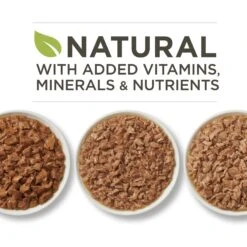 Purina ONE Tender Selects Blend With Real Chicken Dry Cat Food & Purina ONE True Instinct Turkey, Chicken & Tuna Variety Pack Canned Cat Food -PurePet Bites Shop 986462 PT7. AC SS1800 V1698672723