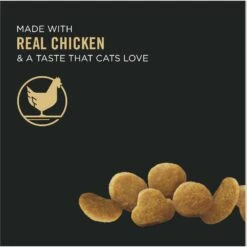 Purina Pro Plan Focus Adult Urinary Tract Health Formula Dry Cat Food & Purina Pro Plan Focus Urinary Tract Health Seafood Favorites Variety Pack Canned Cat Food, 3-oz Can, Case Of 24 -PurePet Bites Shop 986478 PT3. AC SS1800 V1698672260