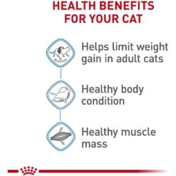 Royal Canin Feline Care Nutrition Weight Care Adult Dry Cat Food & Royal Canin Feline Care Nutrition Weight Care Adult Thin Slices In Gravy Canned Cat Food -PurePet Bites Shop 986494 PT4. AC SS1800 V1698672262