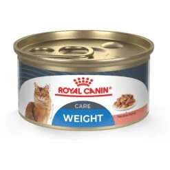 Royal Canin Feline Care Nutrition Weight Care Adult Dry Cat Food & Royal Canin Feline Care Nutrition Weight Care Adult Thin Slices In Gravy Canned Cat Food -PurePet Bites Shop 986494 PT5. AC SS1800 V1698672377