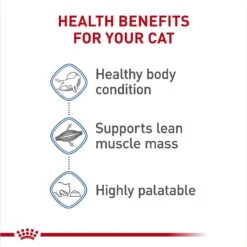 Royal Canin Feline Care Nutrition Weight Care Adult Dry Cat Food & Royal Canin Feline Care Nutrition Weight Care Adult Thin Slices In Gravy Canned Cat Food -PurePet Bites Shop 986494 PT8. AC SS1800 V1698672264