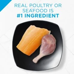 Purina Pro Plan Adult Sensitive Skin & Stomach Lamb & Rice Formula Dry Cat Food & Purina Pro Plan Focus Sensitive Skin & Stomach Duck & Arctic Char Variety Pack Canned Cat Food, 3-oz Can, Case Of 24 -PurePet Bites Shop 986510 PT8. AC SS1800 V1698672315