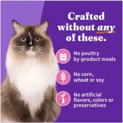 Halo Adult Grain-Free Pate Turkey Recipe Wet Cat Food -PurePet Bites Shop 99158 PT5. AC SS1800 V1698767369