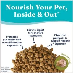 Solid Gold Winged Tiger With Quail & Pumpkin Grain-Free Sensitive Stomach Adult Dry Cat Food -PurePet Bites Shop 99335 PT2. AC SS1800 V1696258309