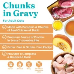 Solid Gold Wholesome Selects With Real Chicken, Duck & Pumpkin Recipe In Gravy Grain-Free Canned Cat Food -PurePet Bites Shop 99358 PT1. AC SS1800 V1524755574