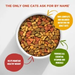 Meow Mix Indoor Health Dry Cat Food 10 Meow Mix Indoor Health Dry Cat Food -PurePet Bites Shop 99943 PT3. AC SS1800 V1670620840