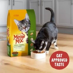 Meow Mix Indoor Health Dry Cat Food 11 Meow Mix Indoor Health Dry Cat Food -PurePet Bites Shop 99943 PT4. AC SS1800 V1670620786