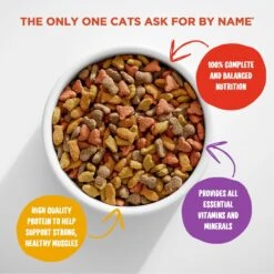 Meow Mix Original Choice Dry Cat Food 10 Meow Mix Original Choice Dry Cat Food -PurePet Bites Shop 99967 PT3. AC SS1800 V1670620271