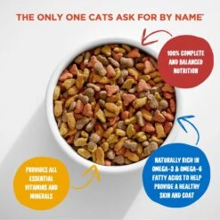 Meow Mix Seafood Medley Dry Cat Food -PurePet Bites Shop 99969 PT2. AC SS1800 V1680811275