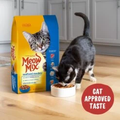 Meow Mix Seafood Medley Dry Cat Food -PurePet Bites Shop 99969 PT3. AC SS1800 V1680811275
