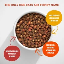Meow Mix Tender Centers Salmon & Turkey Dry Cat Food -PurePet Bites Shop 99974 PT2. AC SS1800 V1670620207